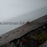 Toyota Yaris Verso valkoinen oikea etuovi, kolhu alareunassa keskellä